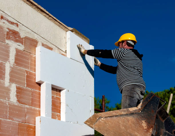 Best Geographic-Specific Insulation Services in Mazon, IL