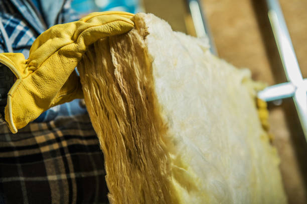 Best Cellulose Insulation in Mazon, IL