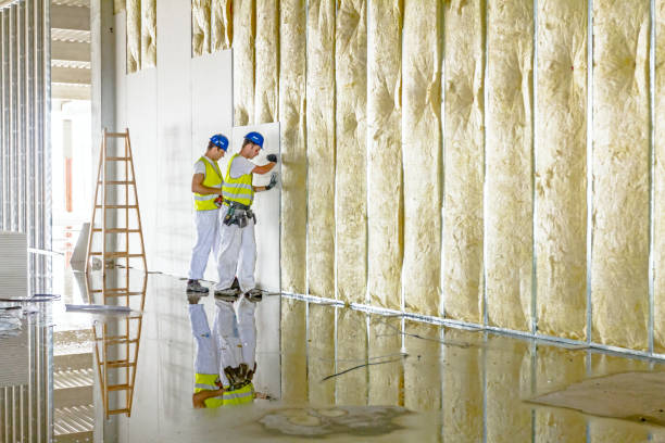 Best Eco-Friendly Insulation in Mazon, IL